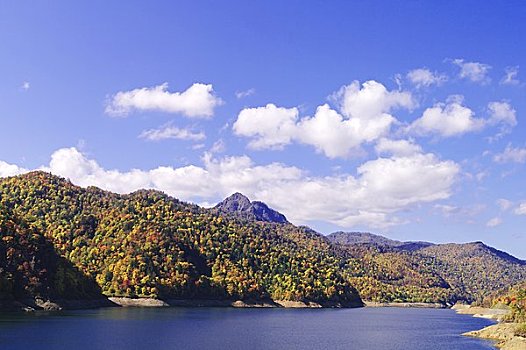 札幌,人工湖,清晰,秋天,天空