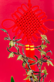 中国元素兰花
