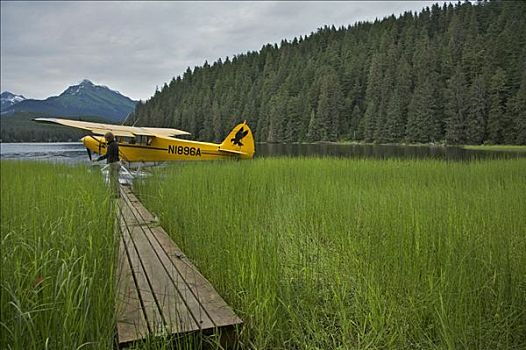幼兽,水上飞机,停泊,湖,靠近,阿拉斯加