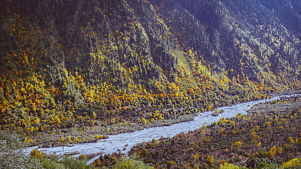 西藏秋天的河谷雪山