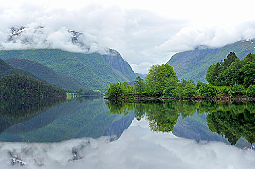 树林,反射,湖,靠近,挪威,斯堪的纳维亚,欧洲