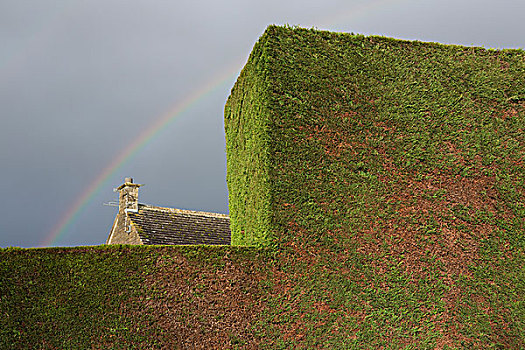 房子,彩虹,后面,树篱