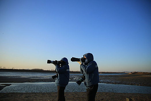 山东省日照市,湿地公园成鸟儿乐园,吸引摄影师前来打卡