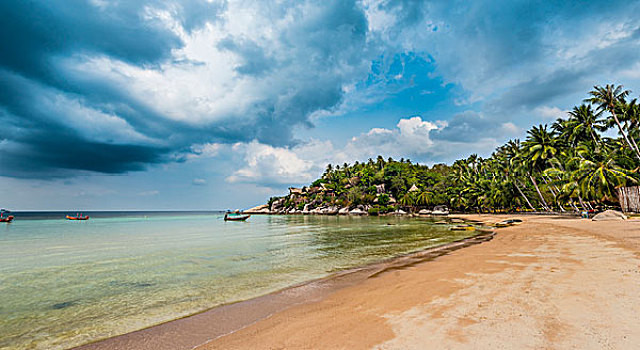 沙滩,海滩,棕榈树,龟岛,海湾,泰国,亚洲