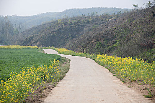 春天乡村道路