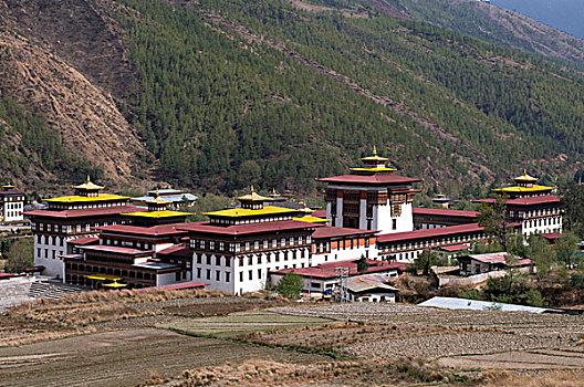 俯拍,宫殿,廷布,不丹