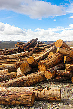 堆积的木材