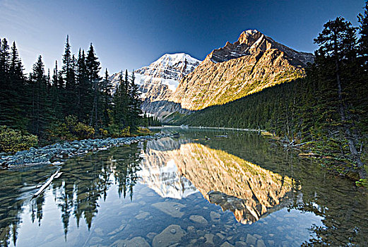 伊迪斯卡维尔山,反射,湖,碧玉国家公园,艾伯塔省,加拿大