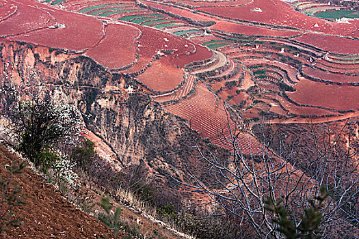 红土地尽显中国山水画法