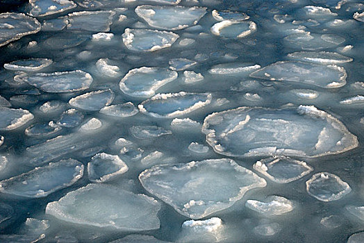 浮冰,冬天