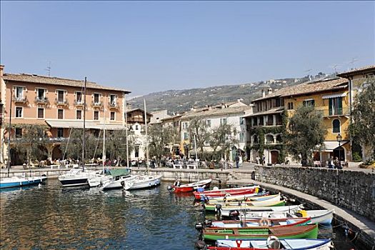港口,小,渔船,加尔达湖,意大利
