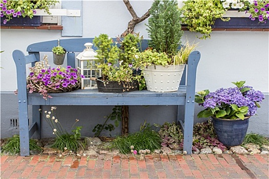 蓝色,园凳,正面,房子,花,装饰