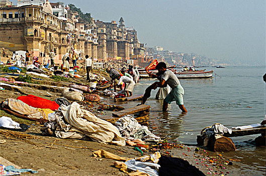 洗衣服,男人,清洁,河,瓦腊纳西,北方邦,印度,亚洲