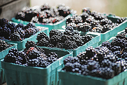 有机,黑莓,扁篮,市场货摊