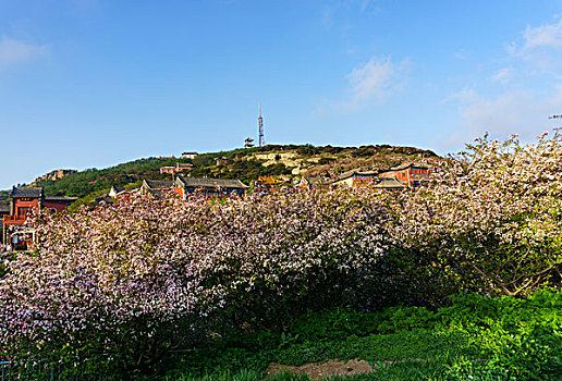 泰山风光