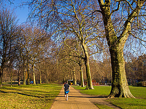 英格兰,伦敦,海德公园,慢跑,练习