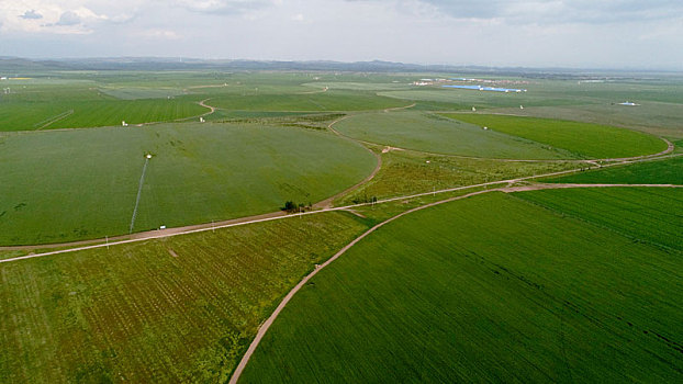 河北坝上成规模种植的现代化农田