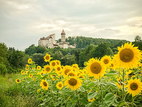 城堡,上奥地利州