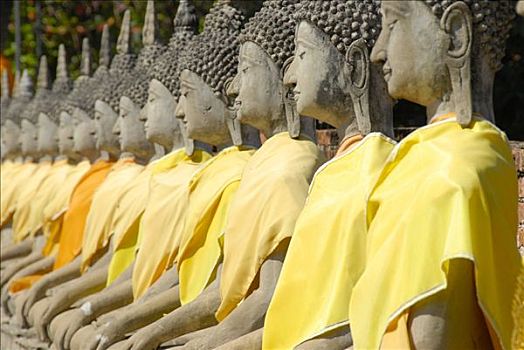 许多,佛像,排列,黄色,布,大城府,泰国