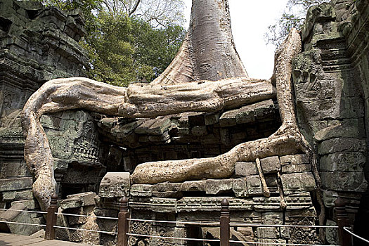 柬埔寨吴哥窟石雕