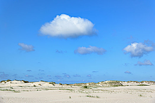 沙丘,风景,东弗里西亚群岛,北海,下萨克森,德国,欧洲