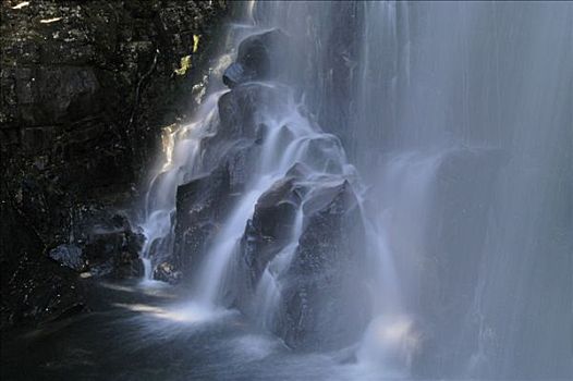 瀑布,靠近,奥弗兰,摇篮山,国家公园,塔斯马尼亚,澳大利亚