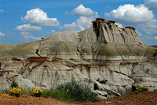 荒地,侵蚀,岩石构造,沉积岩,恐龙省立公园,世界遗产,艾伯塔省,省,加拿大,北美