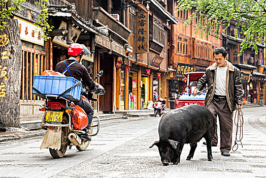 男人,猪肉,西江,房子,苗族,乡村,贵州,中国