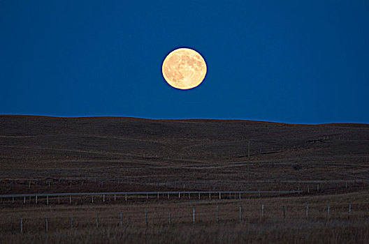 草原最美的月亮图片图片