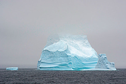 南极,阿根廷,岛屿,巨大,冰山,雾气