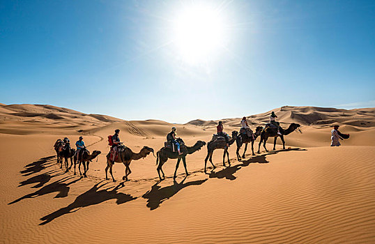 驼队,单峰骆驼,影子,沙滩,沙丘,沙漠,却比沙丘,梅如卡,撒哈拉沙漠,摩洛哥,非洲
