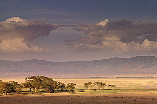 非洲,坦桑尼亚,火山口,风景