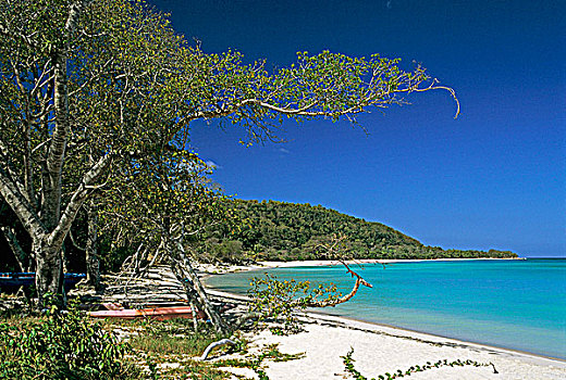 西印度群岛,瓜德罗普,玛丽-嘎兰特群岛,风景,海滩