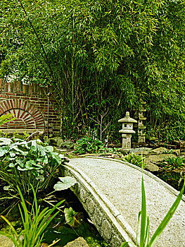 石桥,栏杆,上方,日式,园池,两个,灯笼,背景