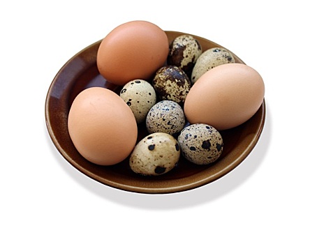 蛋,鹌鹑,三个,母鸡,盘子,隔绝