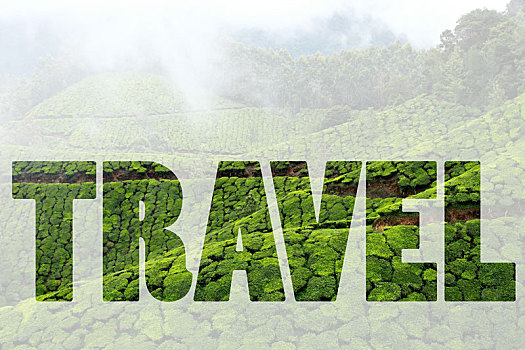 文字,旅行,上方,风景,绿茶,种植园,喀拉拉,印度