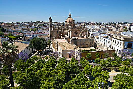 大教堂,萨尔瓦多,安达卢西亚,西班牙,欧洲