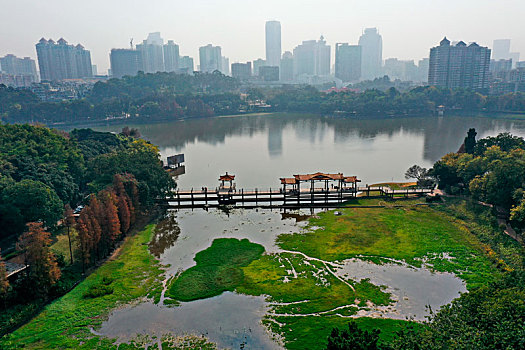 广州,麓湖公园,城市景观