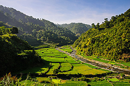 稻米梯田,巴纳韦,吕宋岛,菲律宾