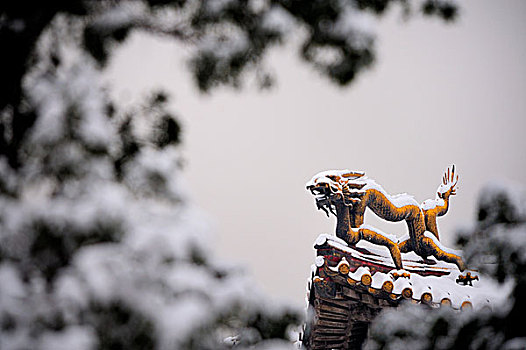 故宮,雨花閣,龍,銅龍