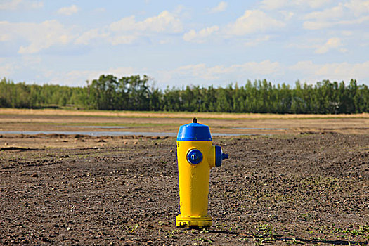 消防栓,新,工地,艾伯塔省,加拿大