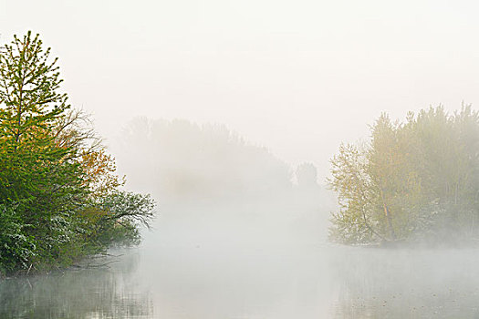 湖,早晨,雾气,春天,黑森州,德国