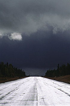 公路,克卢恩国家公园,育空,加拿大
