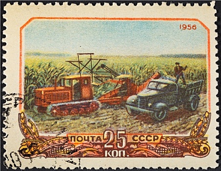 收获,玉米,苏联,俄罗斯