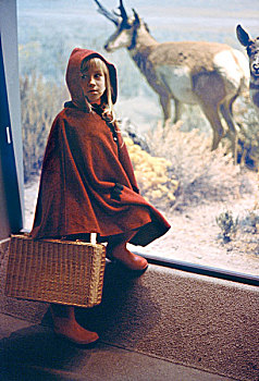 孩子,红色,兜帽,篮子,站立,室内,正面,透视图,鹿,自然,历史,博物馆,旧金山,美国,2000年