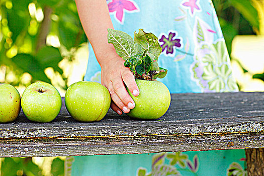 女孩,放置,青苹果,园凳