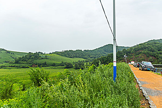 田野