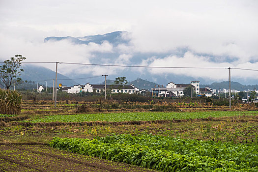 皖南山乡田园风光