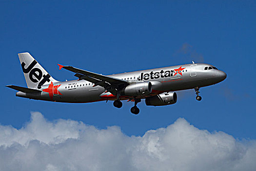 空中客车,a320,降落,奥克兰,国际机场,北岛,新西兰