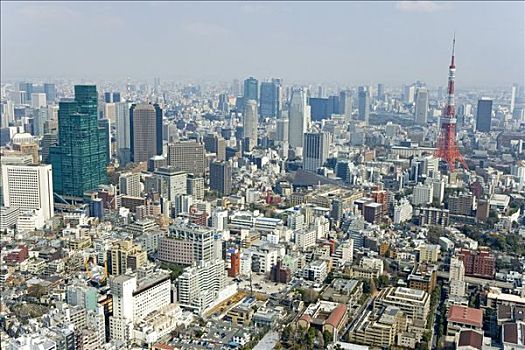 天际线,东京,日本,俯视,远景